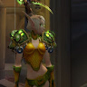 Meet your Posher, Rayven